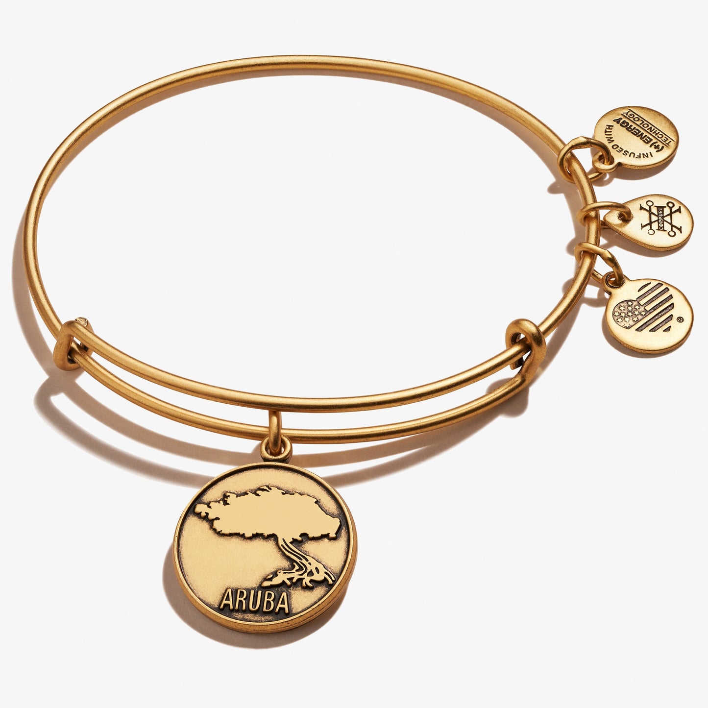 Aruba Charm Bangle