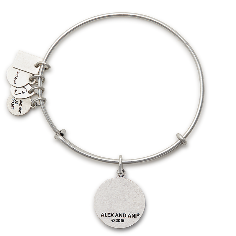 Team USA Gymnastics Charm Bangle