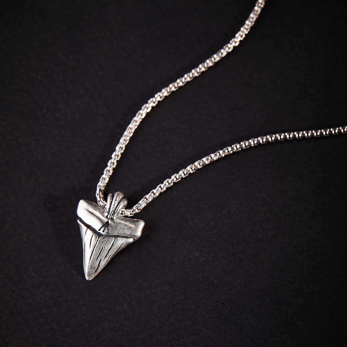Shark Tooth Necklace, Men's