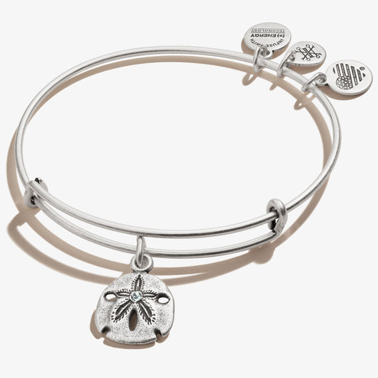 Sand Dollar Charm Bangle