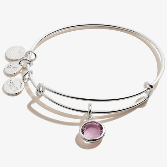 Light Amethyst Birthstone Charm Bangle, June