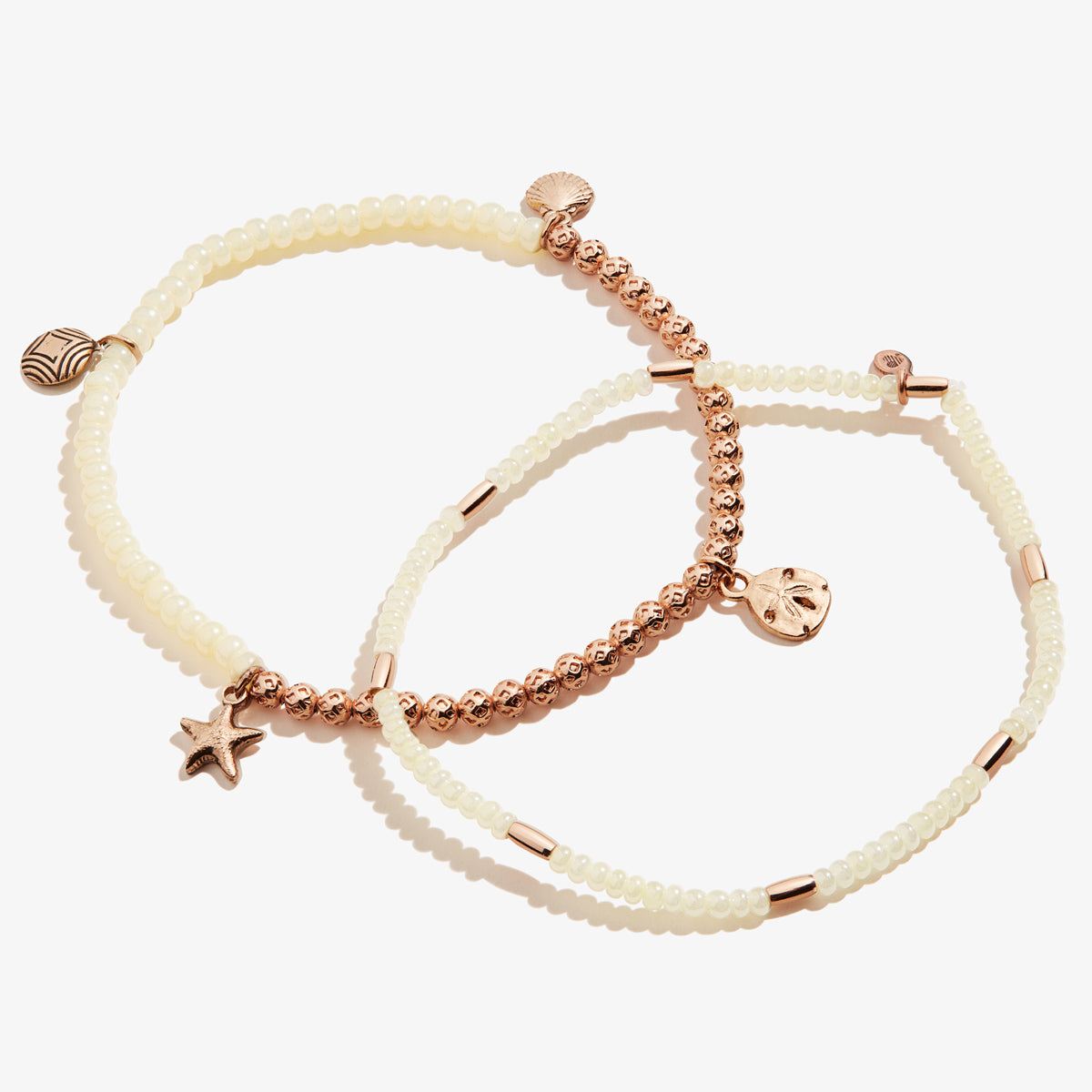 Sand Dollar Stretch Anklets, Set of 2