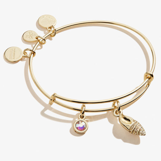 Conch Shell Duo Charm Bangle