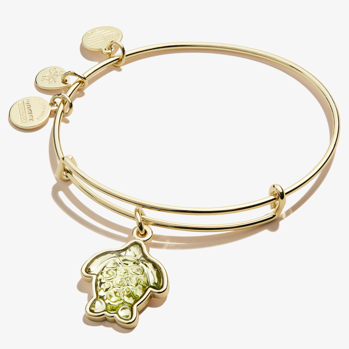 Turtle Charm Bangle