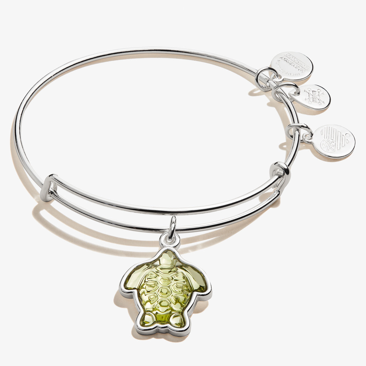 Turtle Charm Bangle