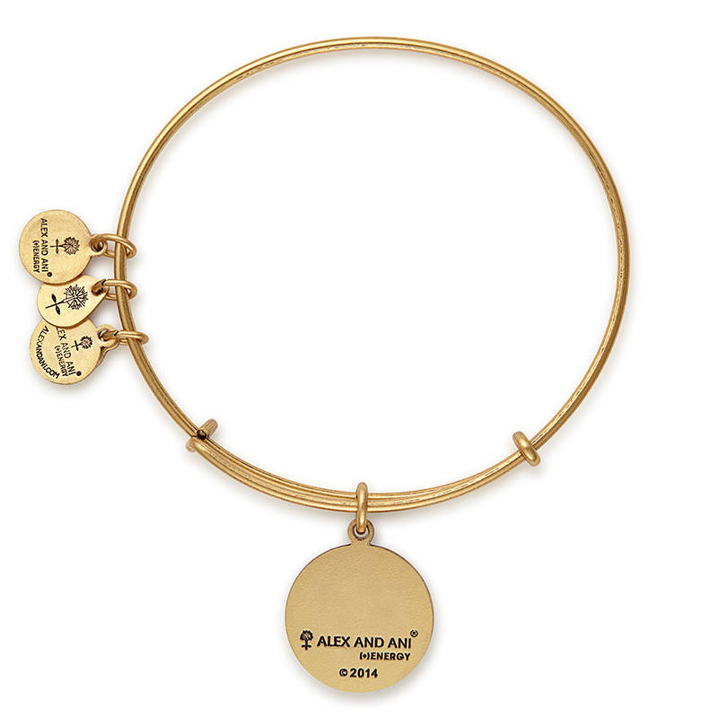 Villanova University® Charm Bangle