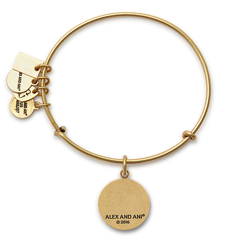 Team USA Gymnastics Charm Bangle