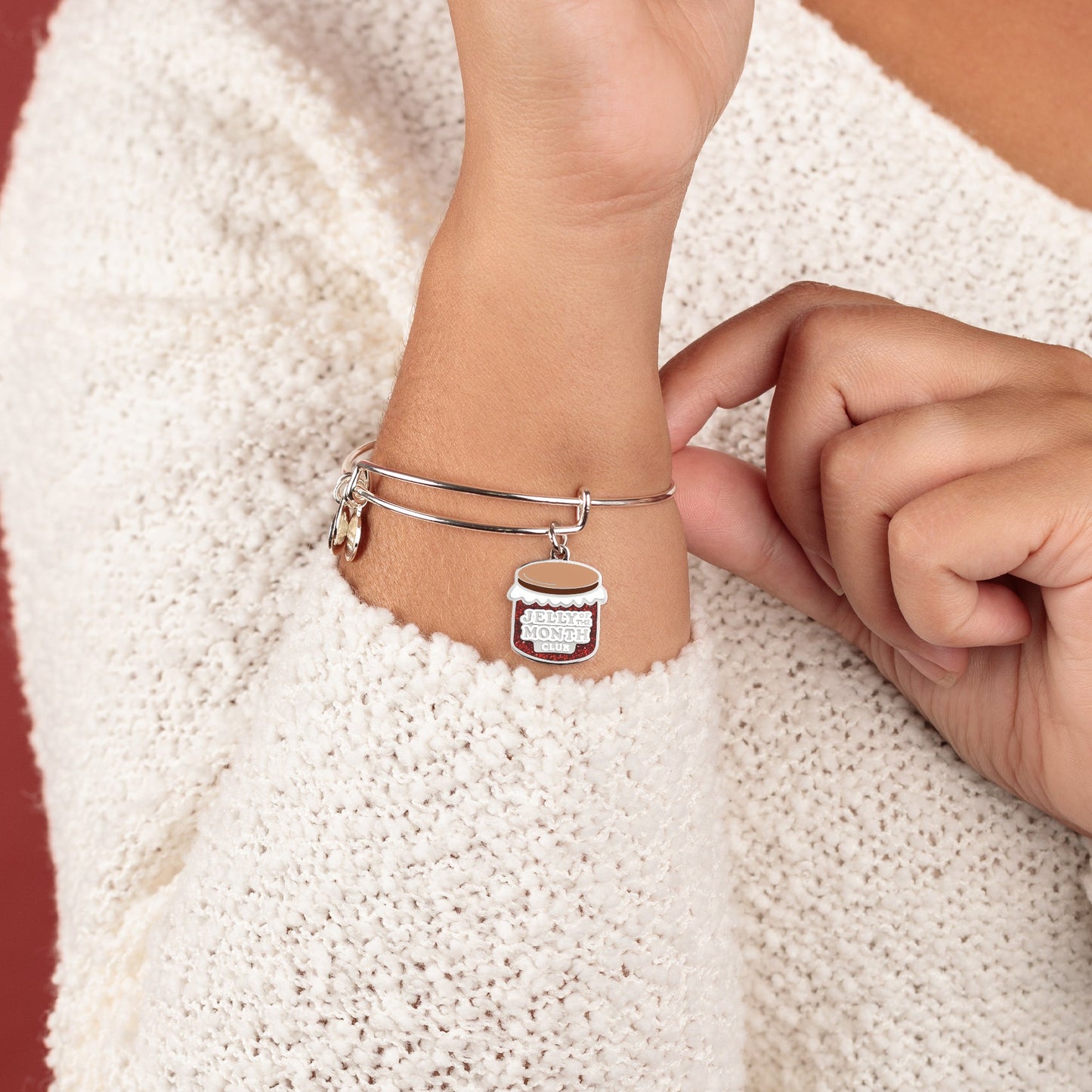 National Lampoon's Christmas Vacation Jelly of the Month Charm Bangle