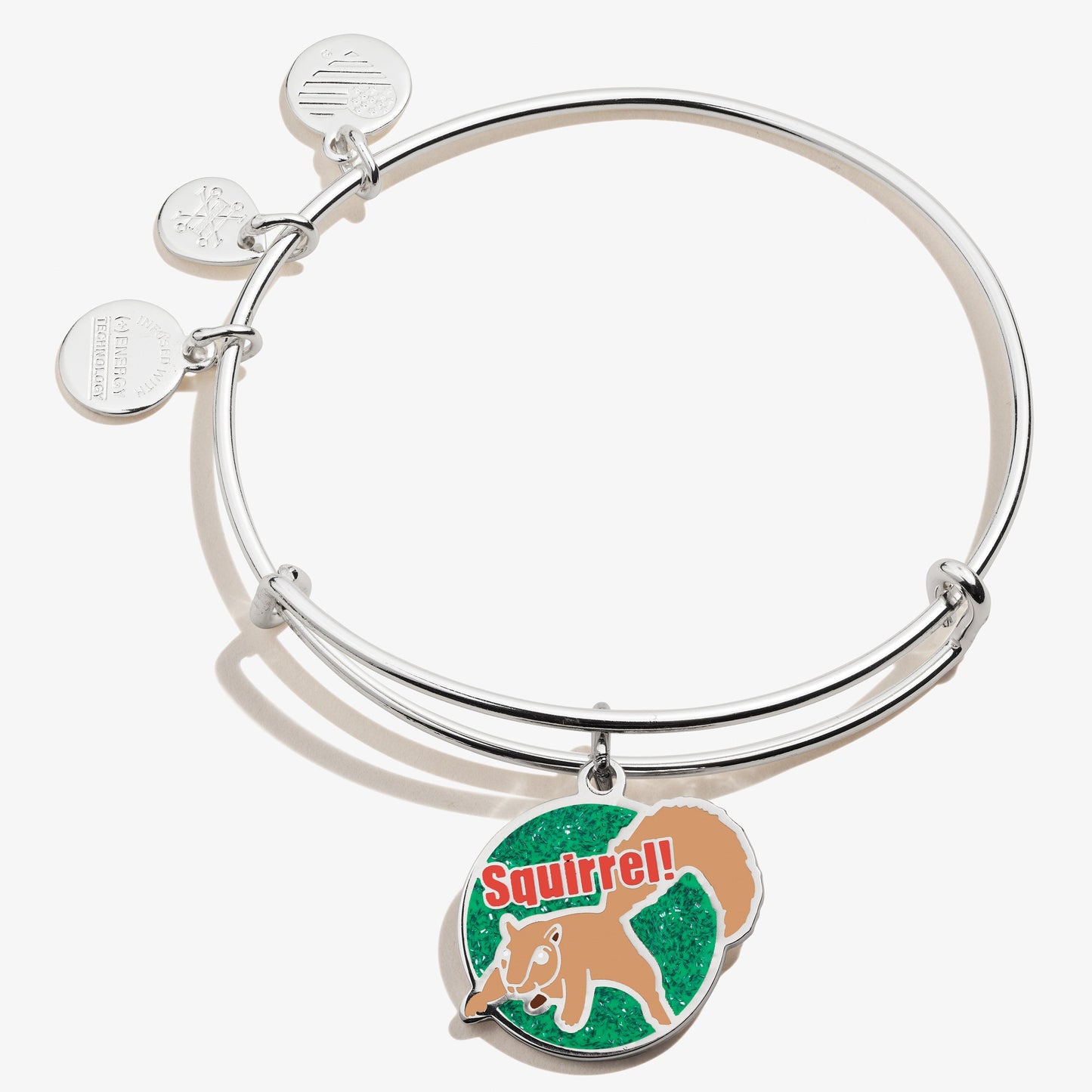 National Lampoon's Christmas Vacation Squirrel Charm Bangle