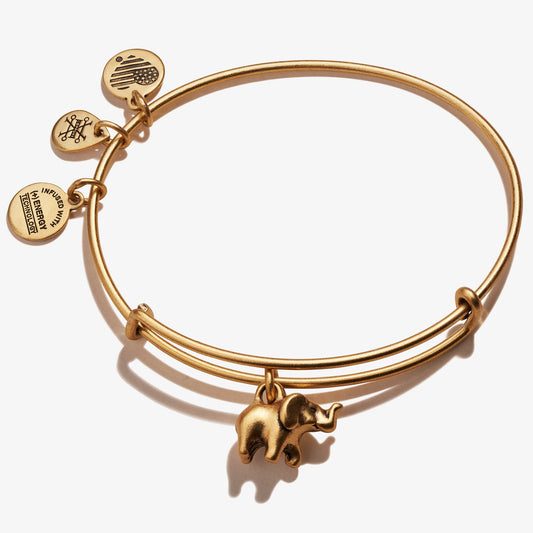 3D Elephant Charm Bangle