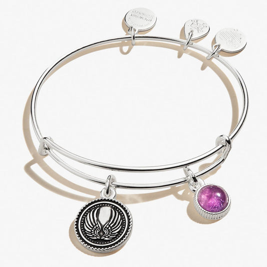 Guardian Angel Duo Charm Bangle