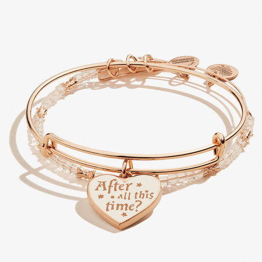 Harry Potterâ„?'Always' Charm Bangles, Set of 2