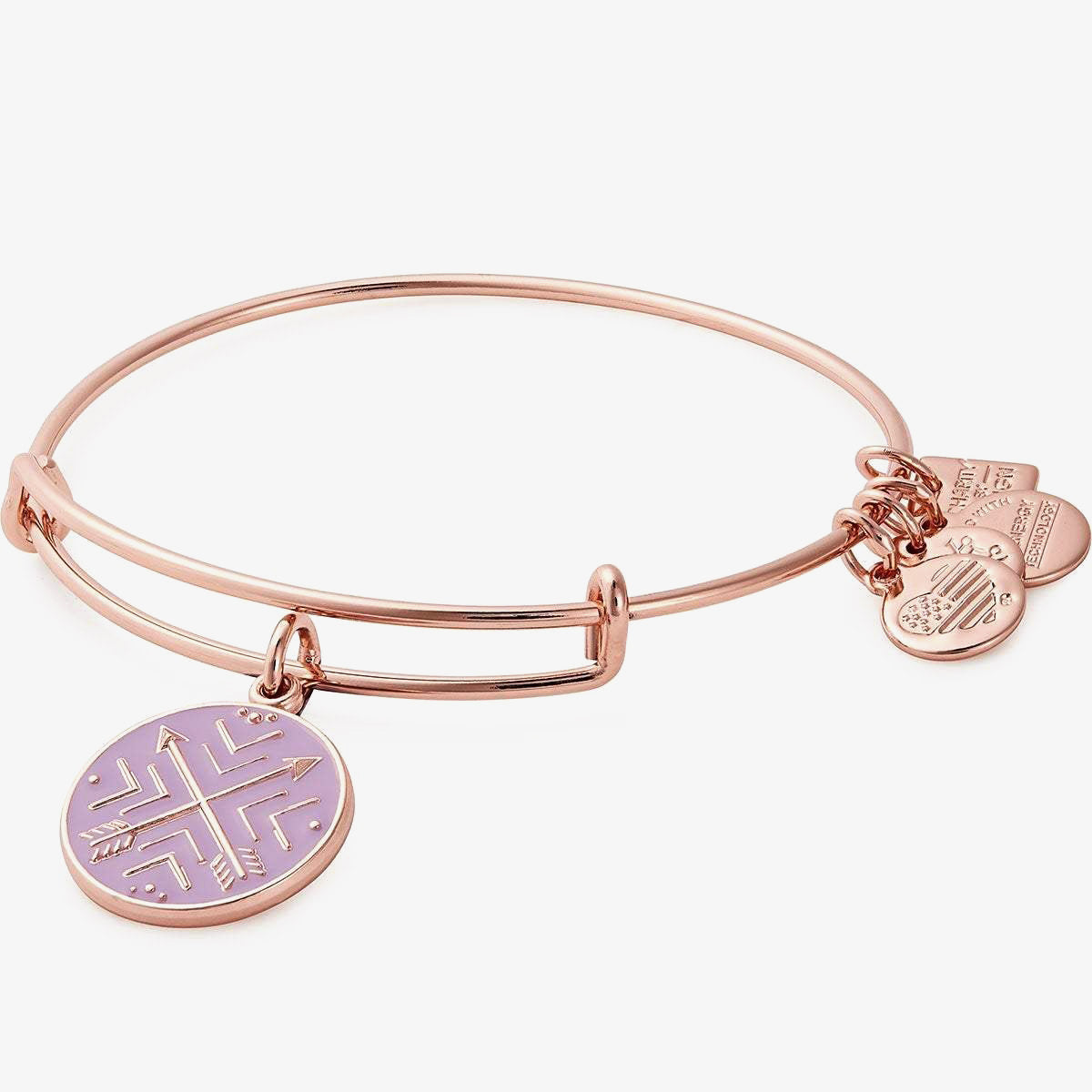 Arrows of Friendship Charm Bangle