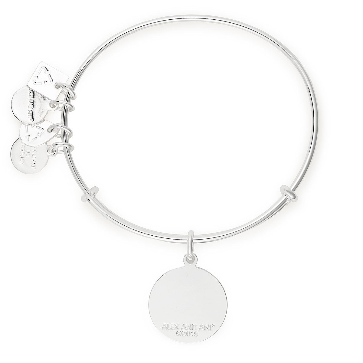 Arrows of Friendship Charm Bangle